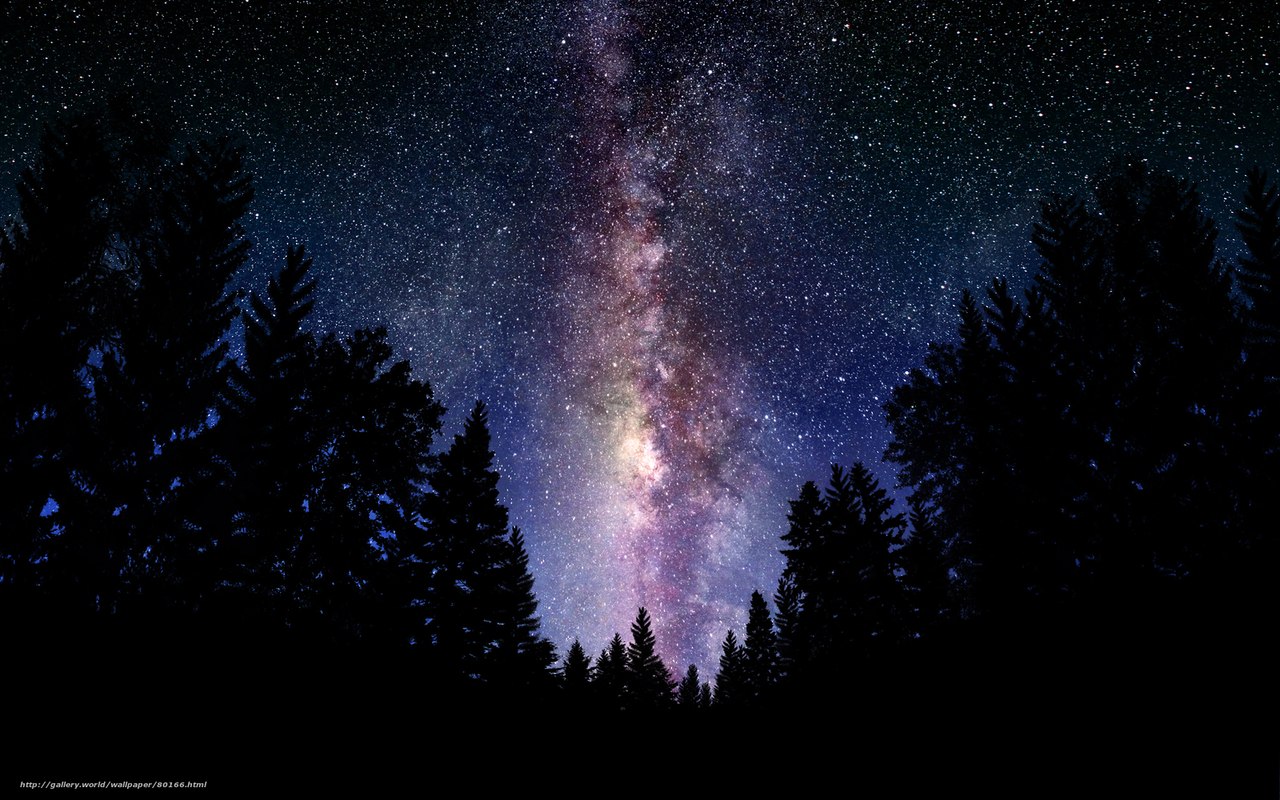 Фантастические снимки млечного пути из разных точек нашей планеты. - 6