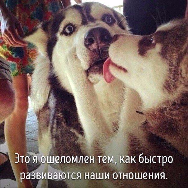 Животные совсем как мы. - 7