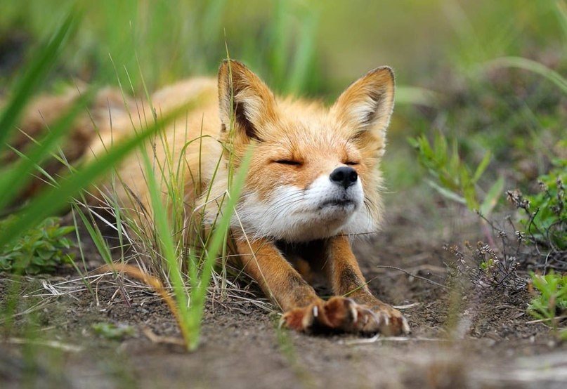 Утренняя зарядка - 5