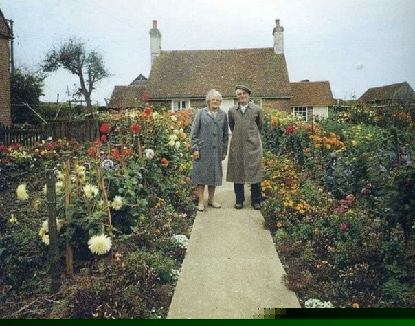 Любите, пока не поздно! - 5