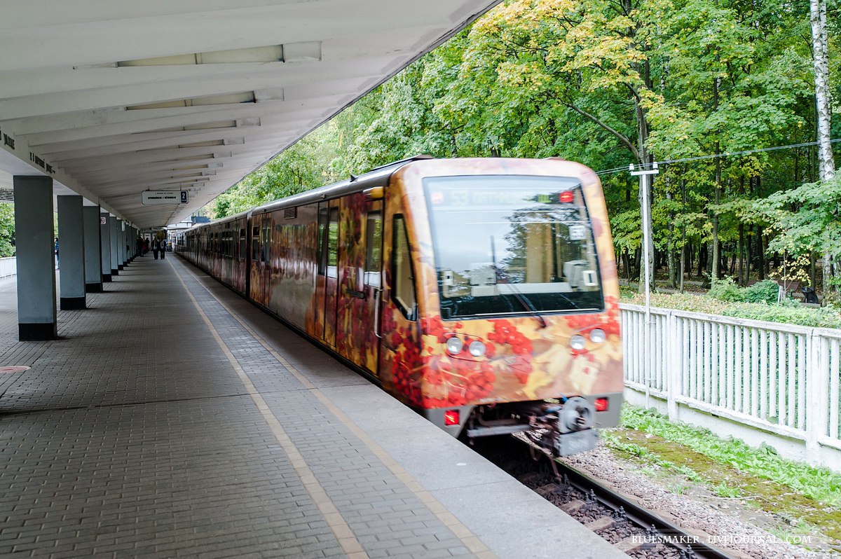 Поезд "Акварель" в московском метро - 7