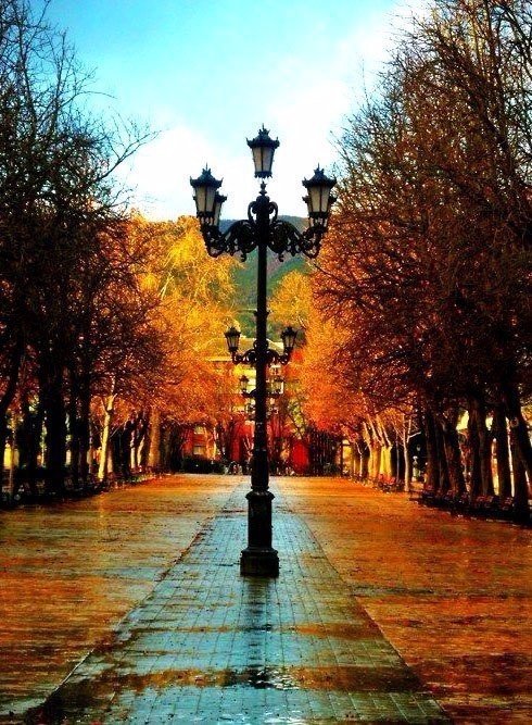 Осень — не время для равнодушия.<br>Это время ярких красок, искренних эмоций и тепла души. - 5