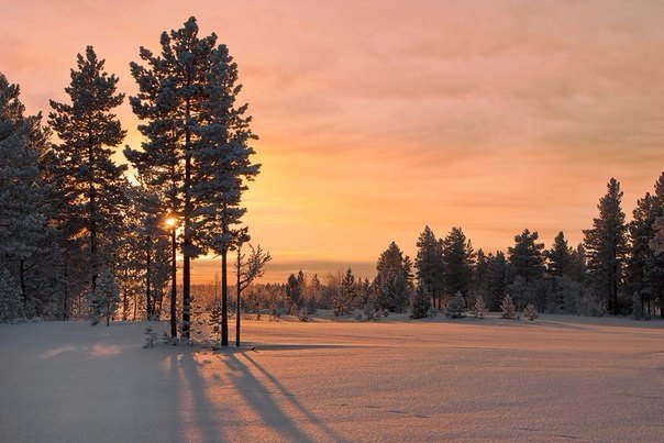 Ямало-Ненецкий автономный округ.
