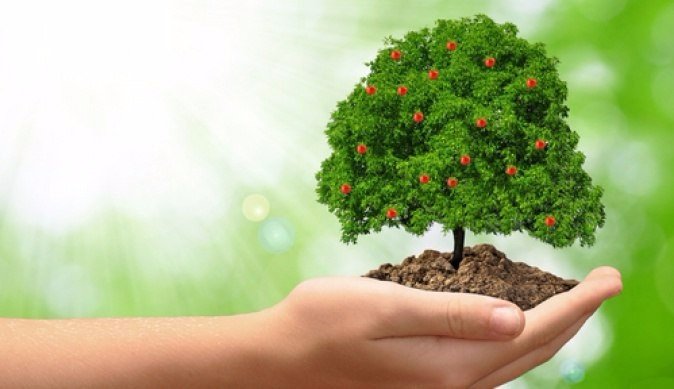 Посади добрые поступки - вырастут чудеса!)