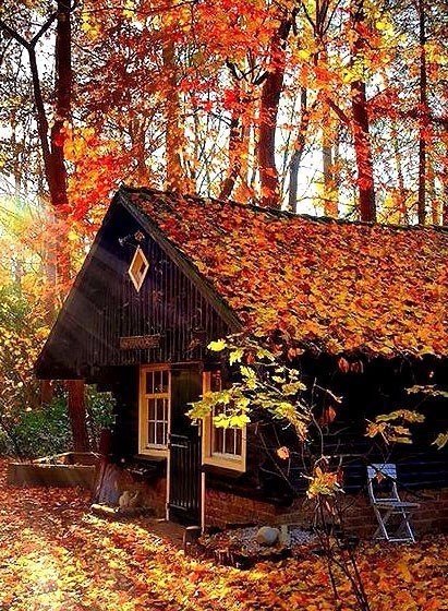 Осень — не время для равнодушия.<br>Это время ярких красок, искренних эмоций и тепла души.