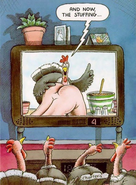 10 шокирующих рисунков, иллюстрирующих, КАК люди обращаются с животными. - 5