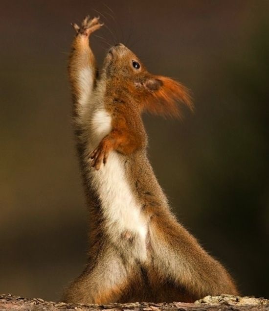 Ночь, говорите? - 5