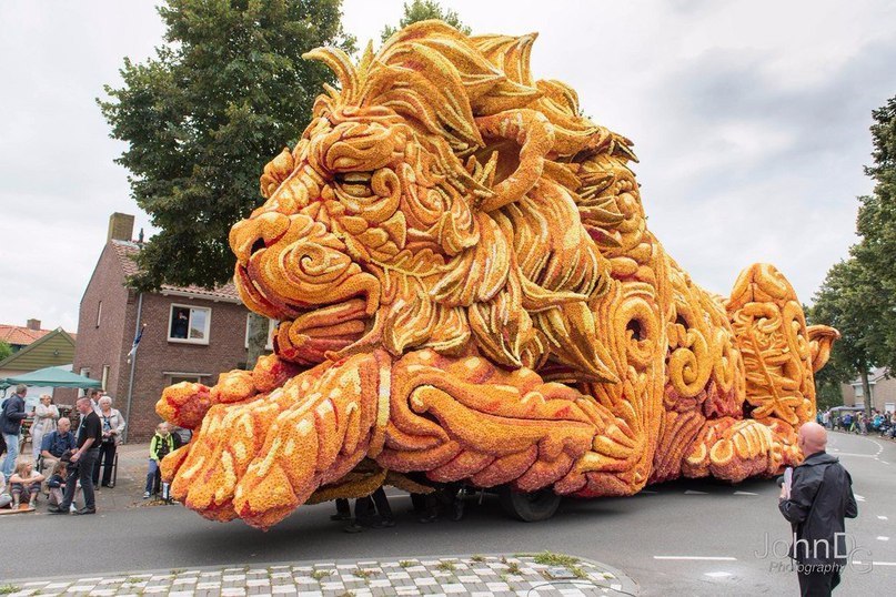 The annual flower parade in the Netherlands. - 6