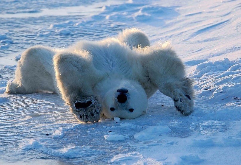 Утренняя зарядка - 8