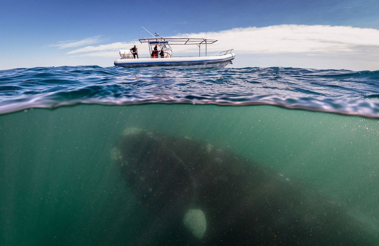 На грани двух миров - 8