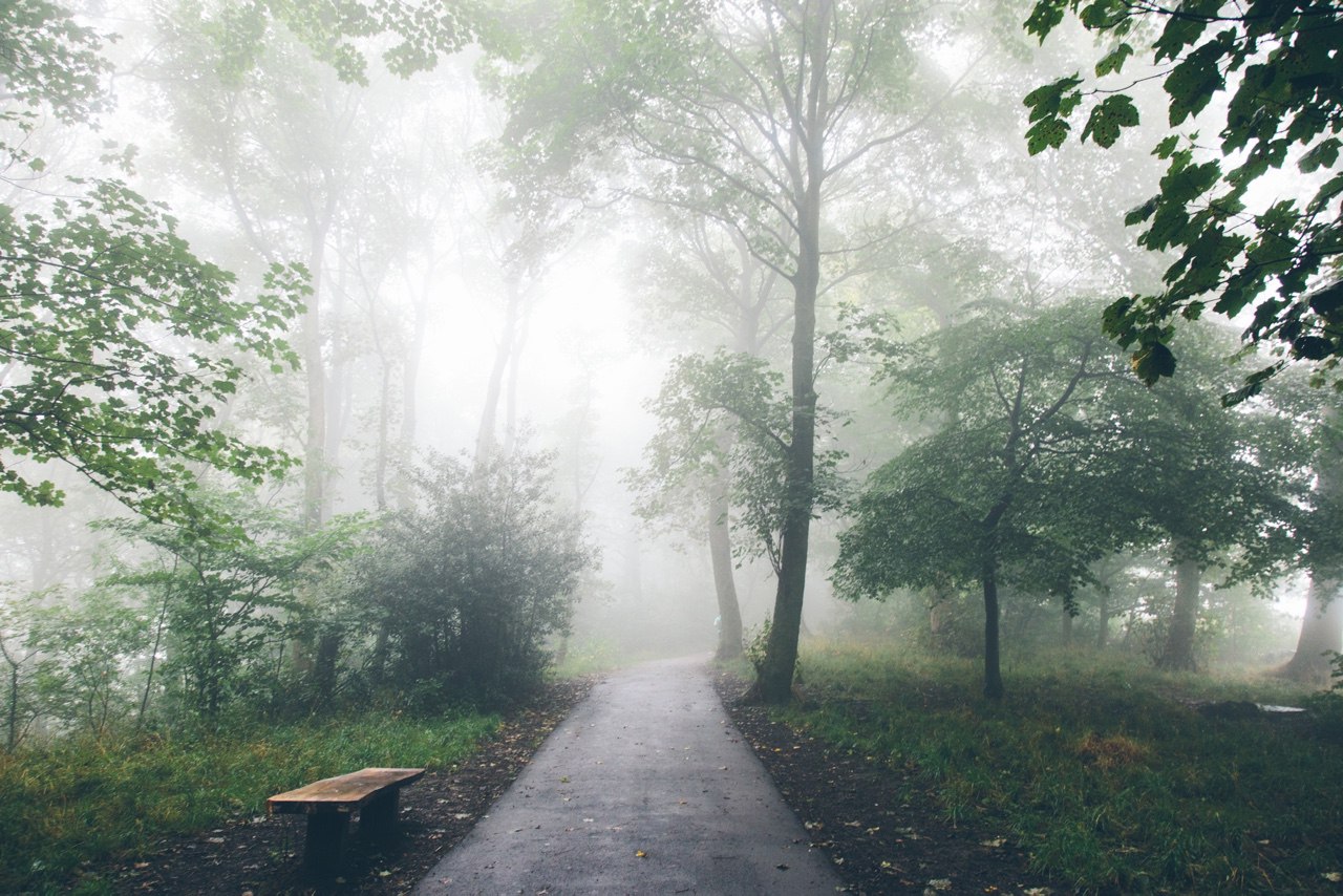 Романтика туману