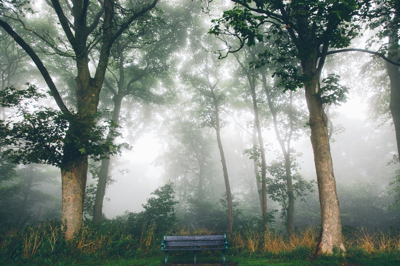 Романтика туману - 5