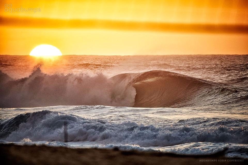 Побережье океана. Австралия - 8