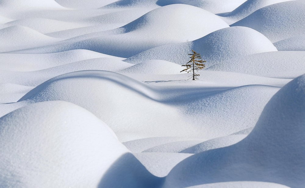 Минимализм в природе