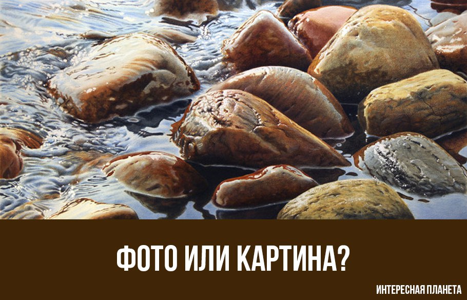 Что скажете? 