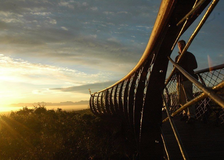 Дорога над верхушками деревьев: новый деревянный настил в ботаническом саду в Кейптауне, ЮАР - 5