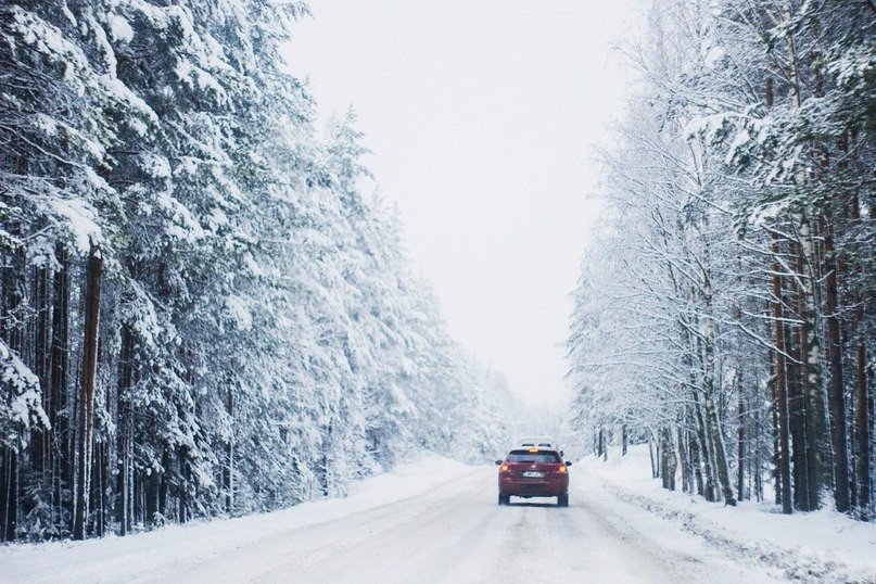 Зачаровують лісу Карелії - 5