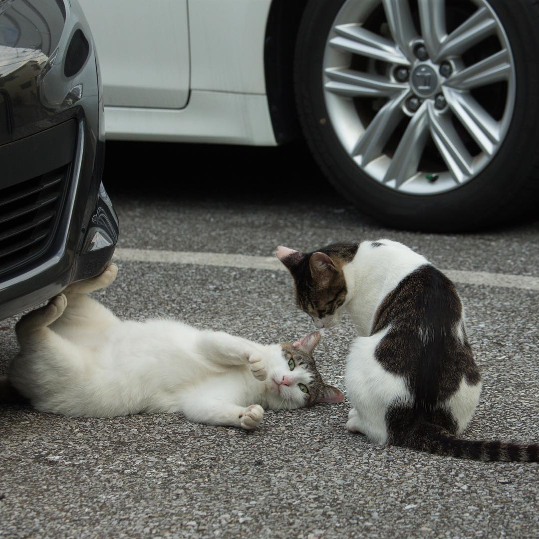 Японский фотограф Масаюки Оки - 7