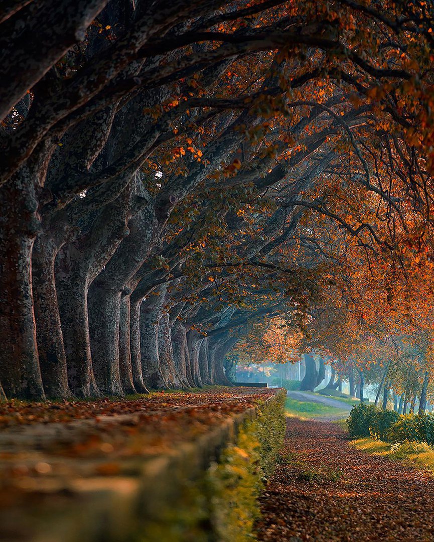 Дорога в Понти-ди-Лима, Португалия