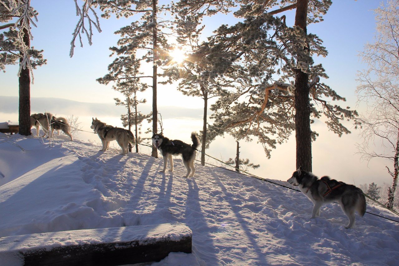 Окрестности Красноярска, Сибирь, Россия.<br>Вид на парящий Енисей