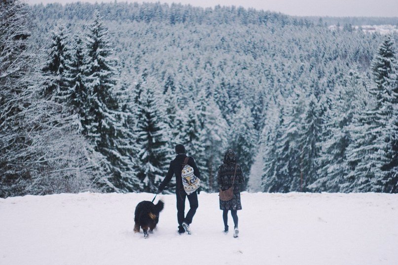 Завораживающие леса Карелии