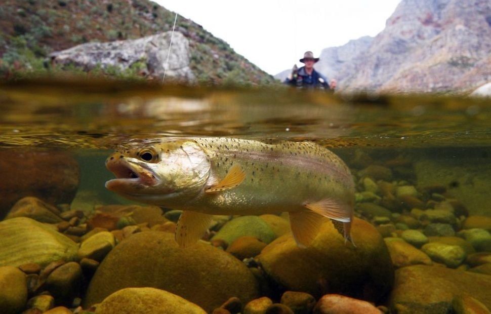 На грани двух миров - 9