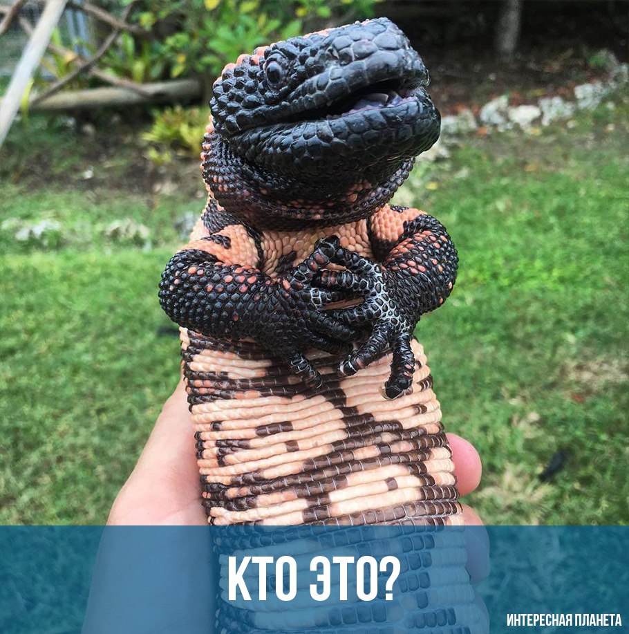 Ждём ваших вариантов в комментариях 