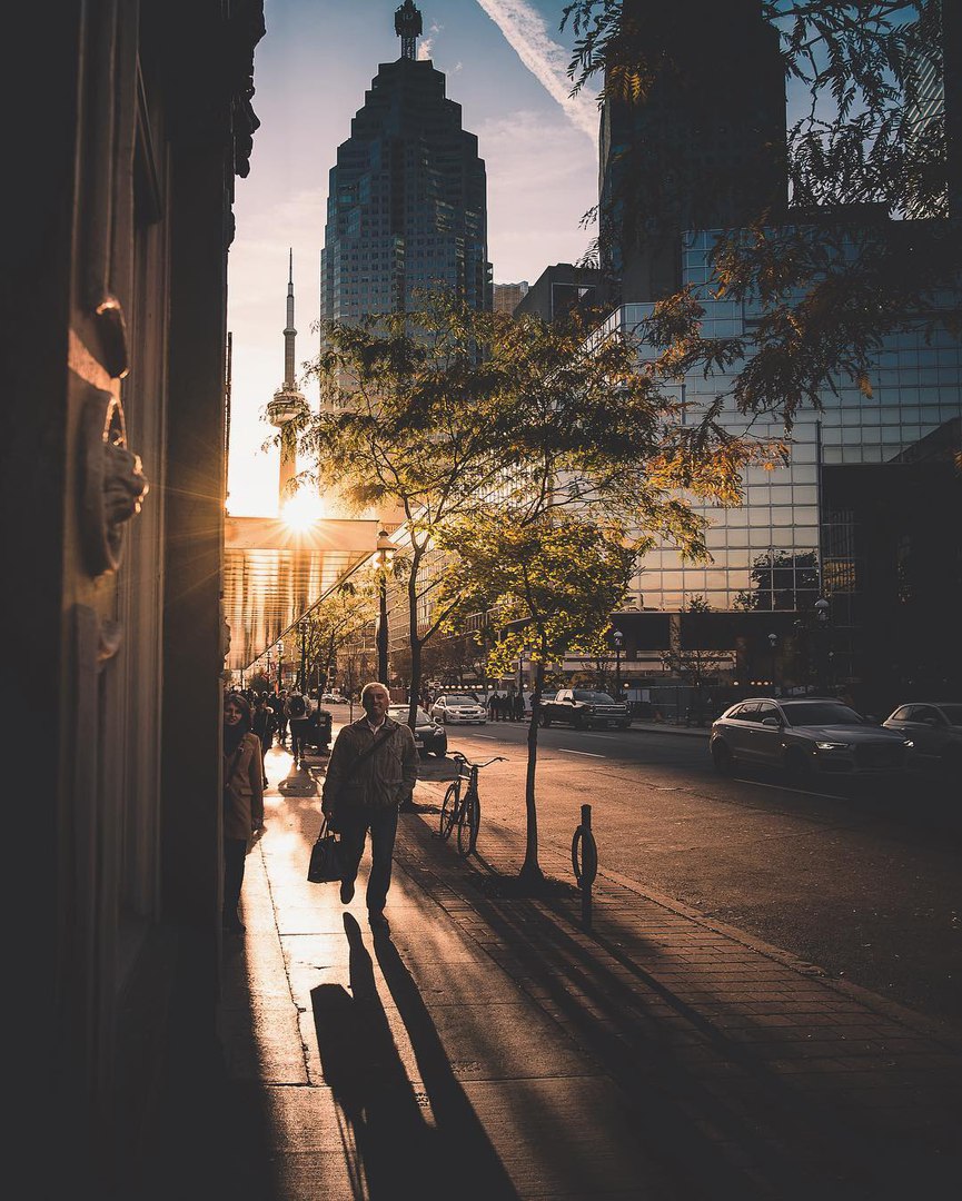 «Золотой час» в Торонто, Онтарио<br><br>Фото: Gil Tamin