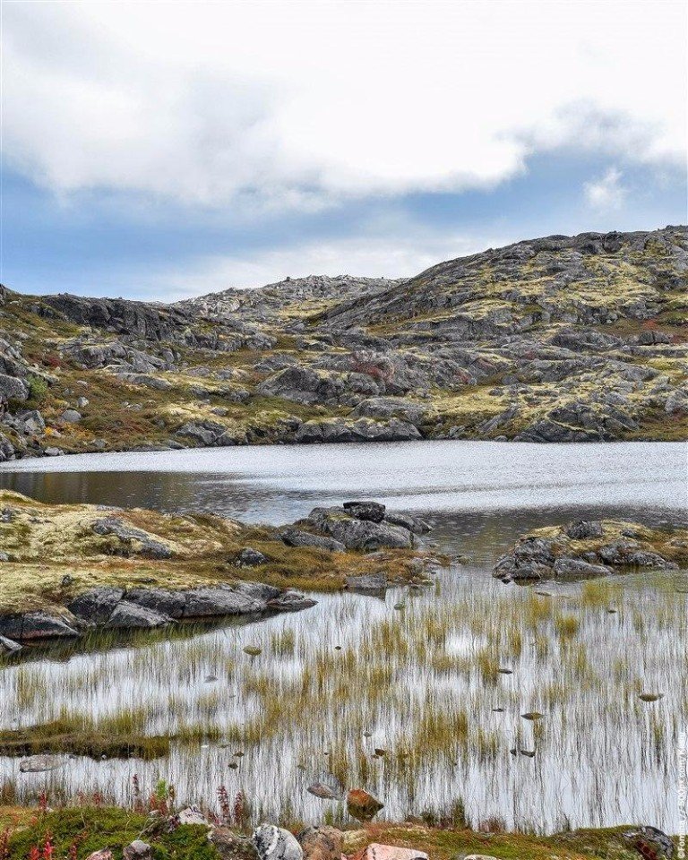 Мурманская область. Воды и скалы полуостровов Средний и Рыбачий. <br>Сентябрь 2016г. - 7