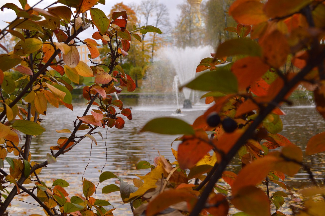 Волшебный Петергоф - 8