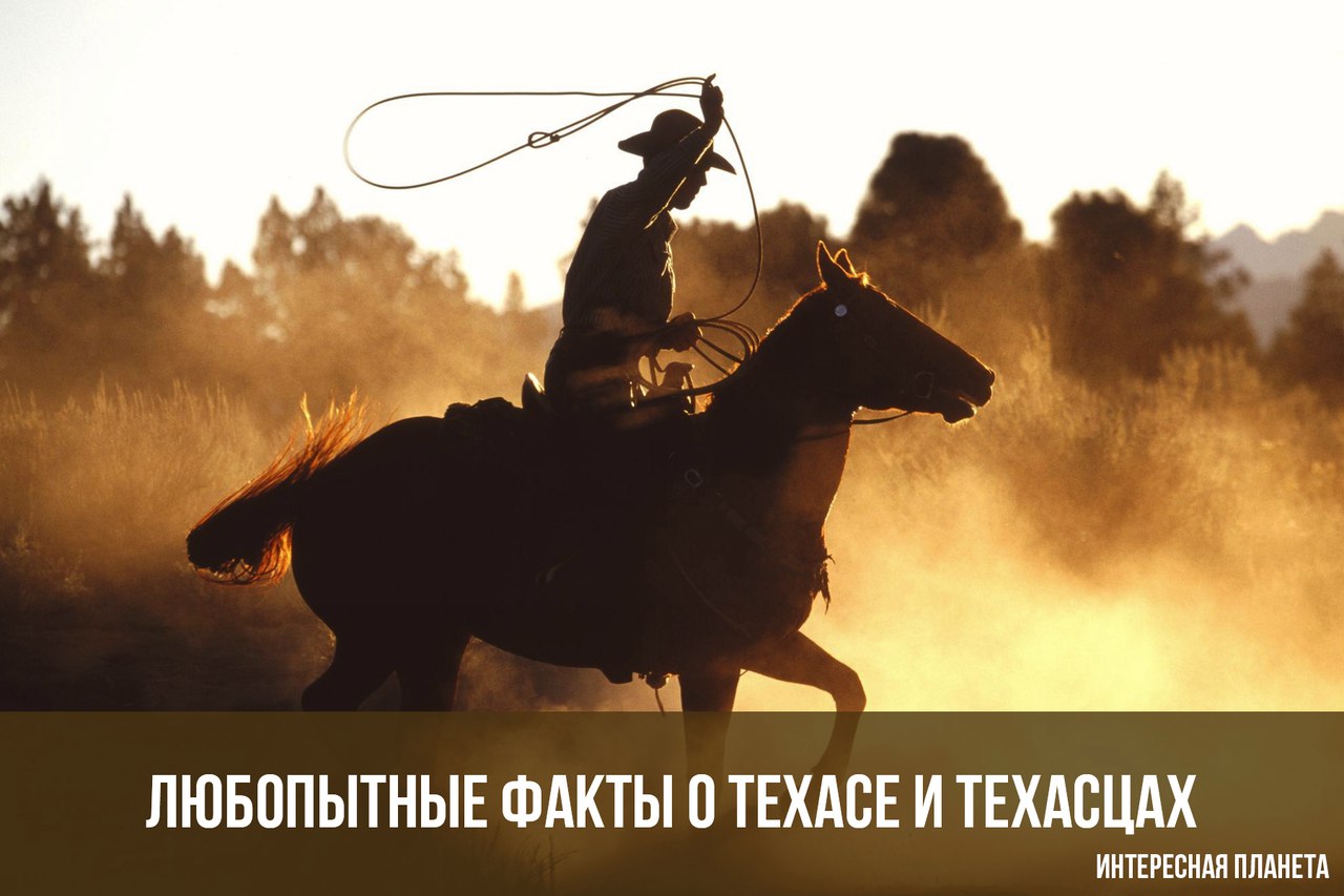 Любопытные факты о Техасе и техасцах
