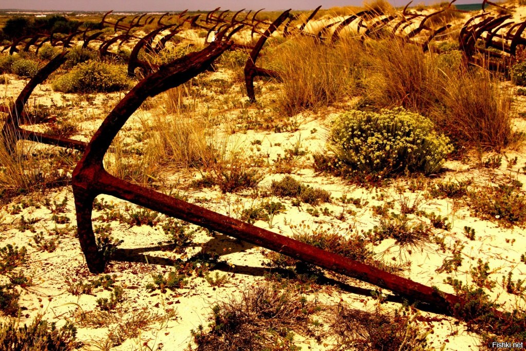 Кладбище якорей в Португалии