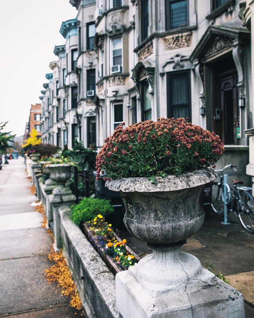 Улица в квартале Виндзор Террас, Бруклин<br><br>Фото: samhorine