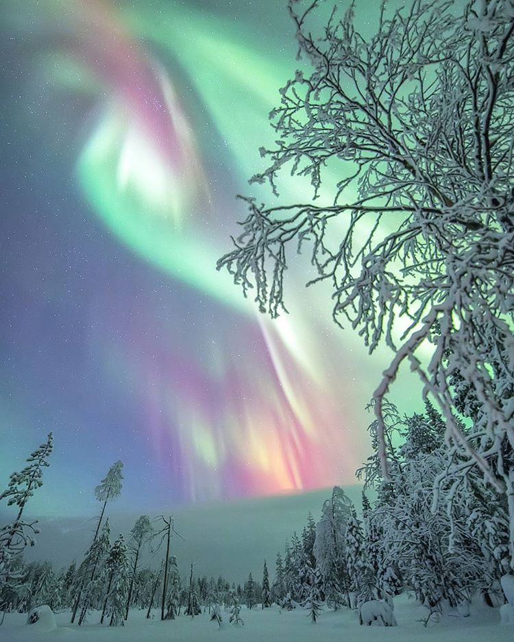 Северное сияние Аврора Бореалис<br><br>Фото: Tiina Törmänen