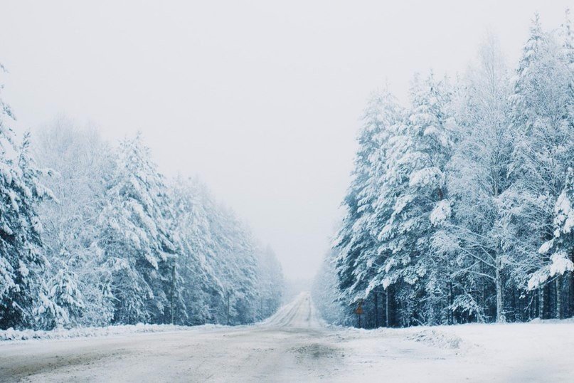 Зачаровують лісу Карелії - 8