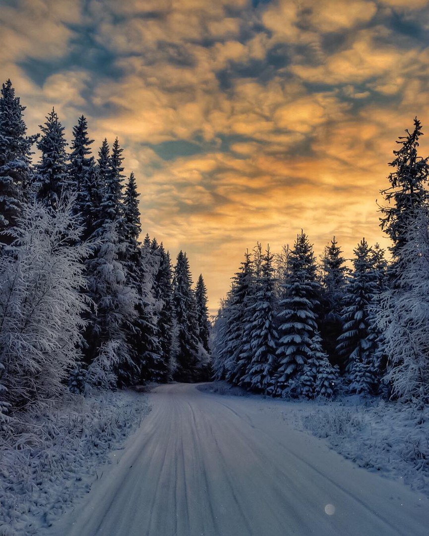 Инсон, Лен Даларна, Швеция<br><br>Фото: Lotta Sävenmark