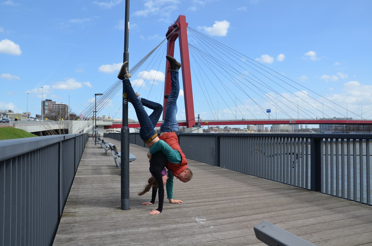 Йоги-мандрівники - 7