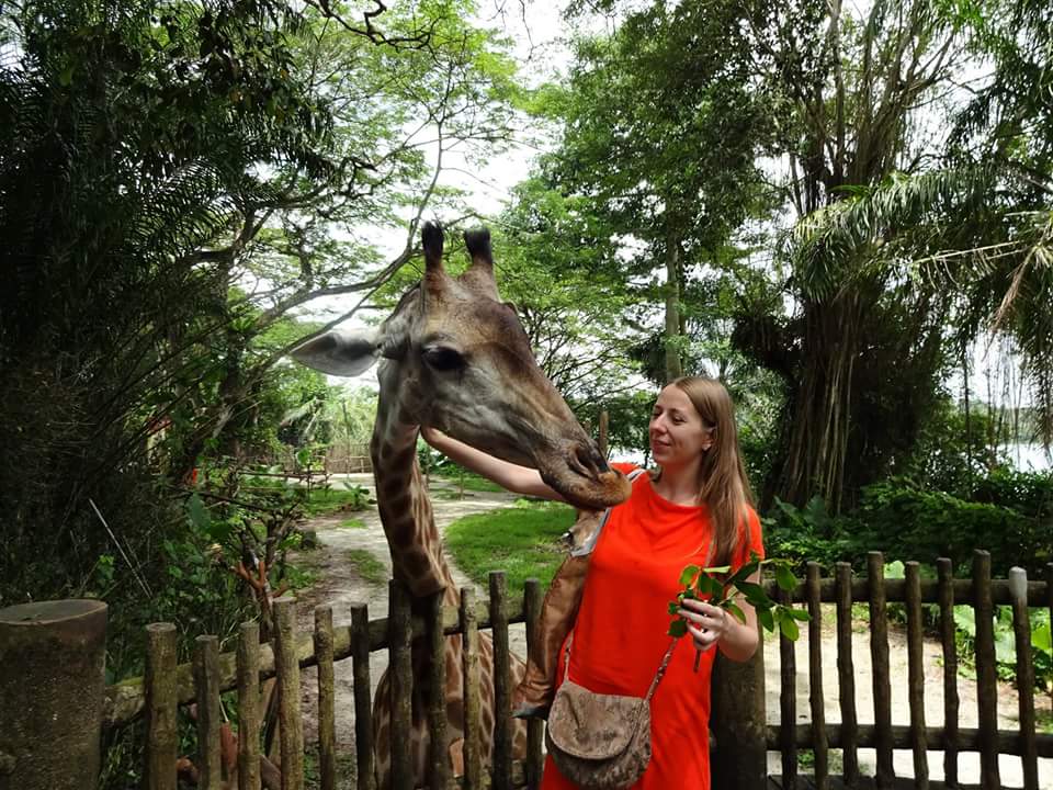 Сингапур. Зоопарк и Парк птиц. Август 2016 - 6