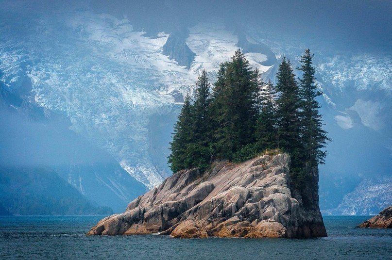 Яркий мир суровой Аляски