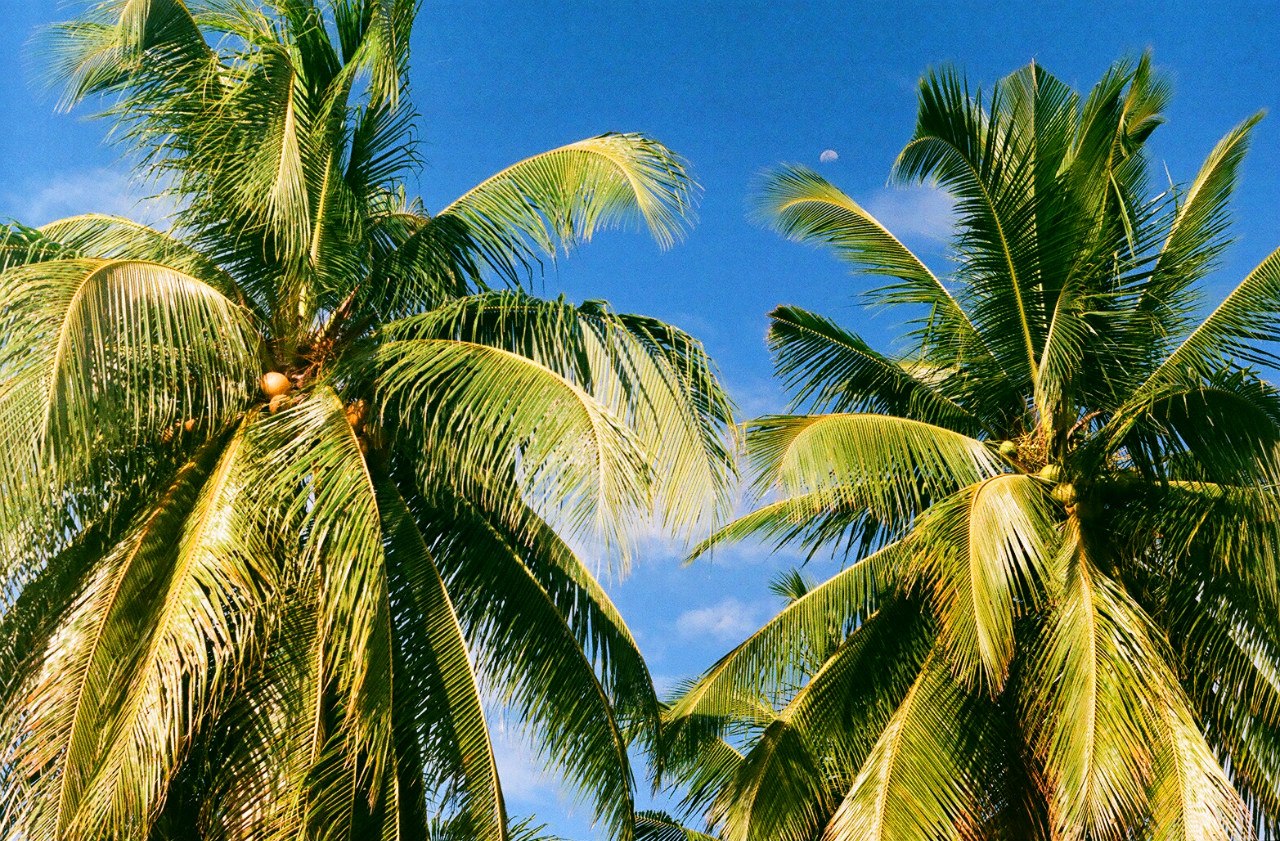 Путешествие по Филиппинам