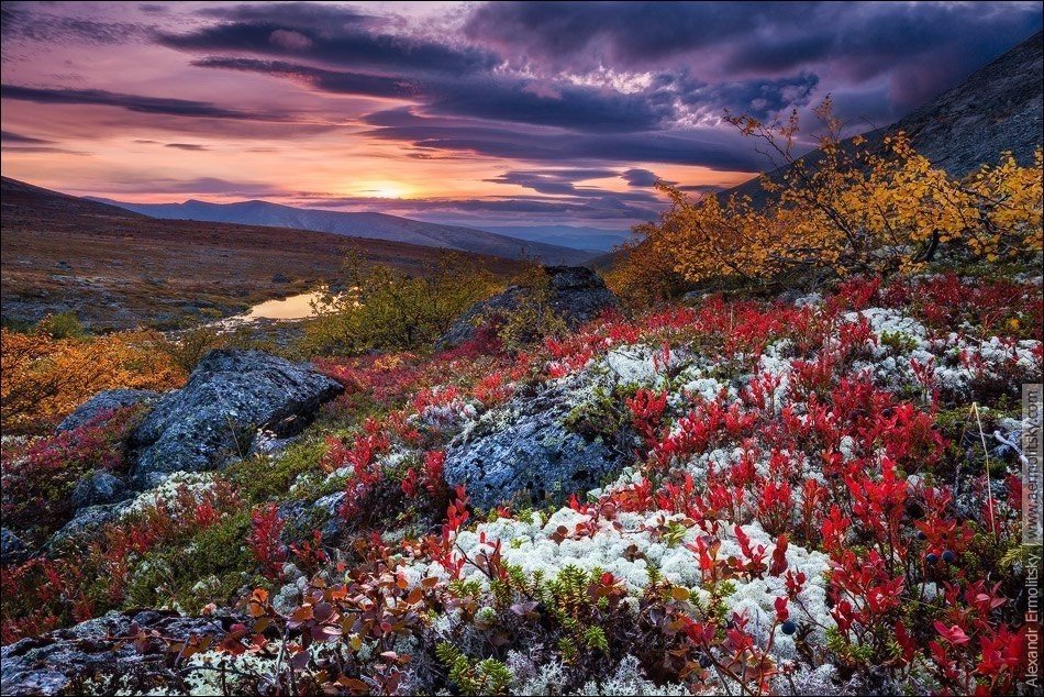 Озеро Имандра, Кольский полуостров - 6