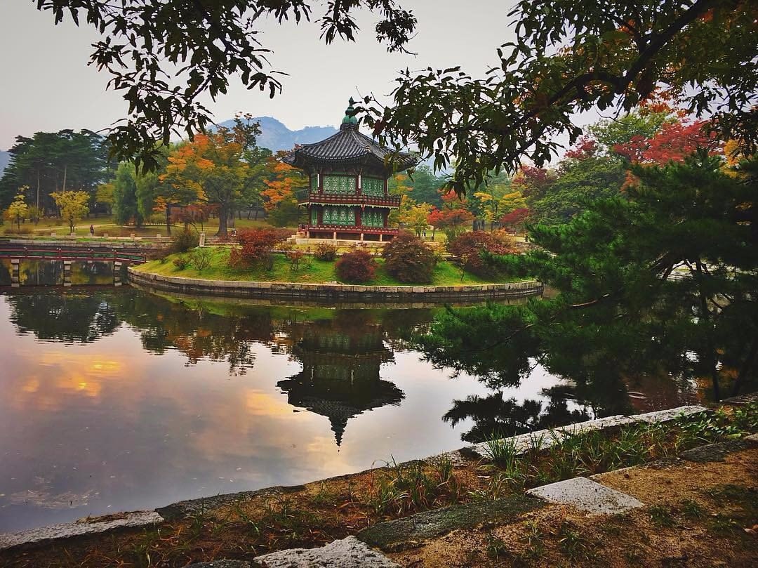 Великолепные природные краски в Южной Корее