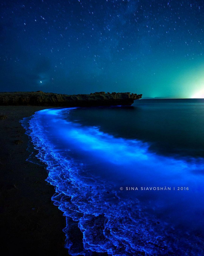 Сияющая ночь на берегу Персидского залива