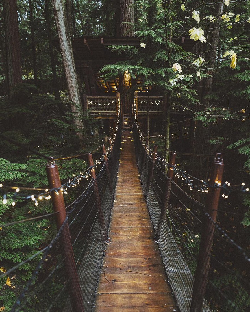 Висячий мост Капилано, Канада<br><br>Фото: Braedin Toth