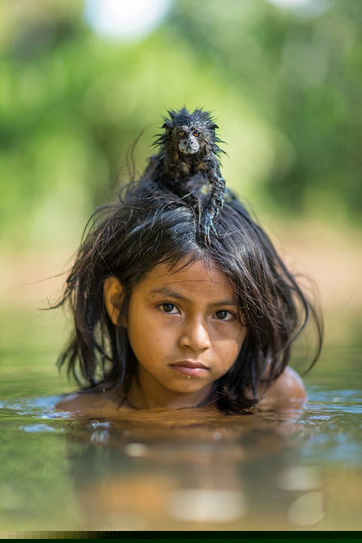 Тамарин на голове девочки, купающейся в реке Йомибато в национальном парке Ману, Перу