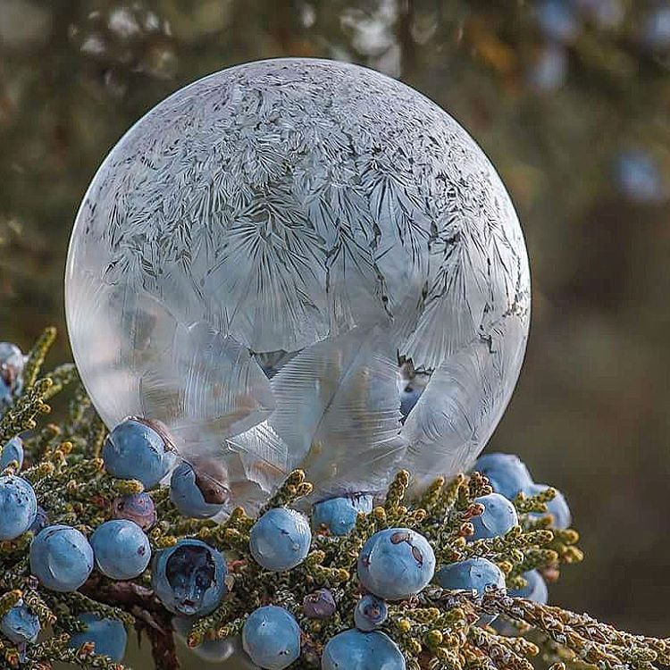 Замёрзший воздушный пузырь.