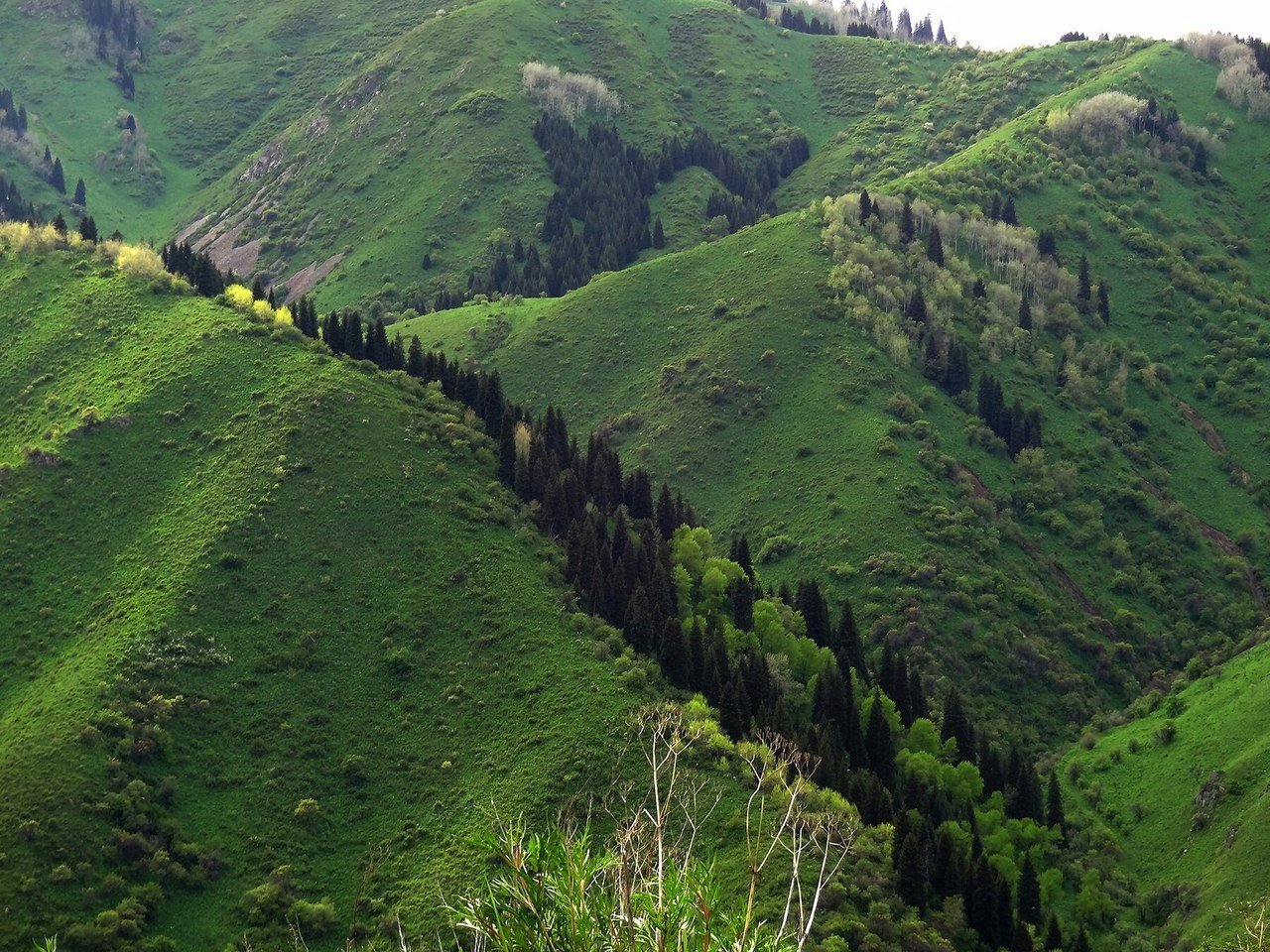 Дорога к озеру Иссык. Озеро Иссык. Казахстан, Алматинская область.