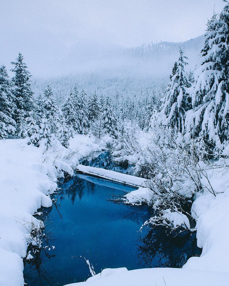 Пруд Голд Крик, Вашингтон, США<br><br>Фото: tim_urpman