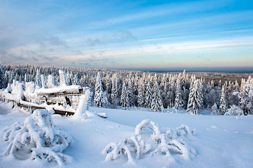 Зачаровують знімки застиглої природи від фотографа Володимира Чуприкова. - 8