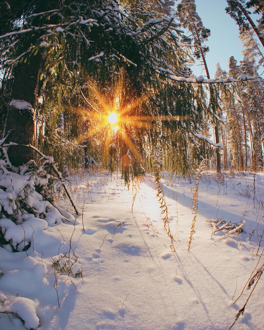 Рассвет в Рыбинске<br><br>Фото: Сергей Чекалов